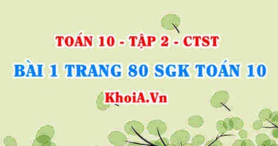 Bài 1 trang 80 SGK Toán 10 tập 2 Chân trời sáng tạo